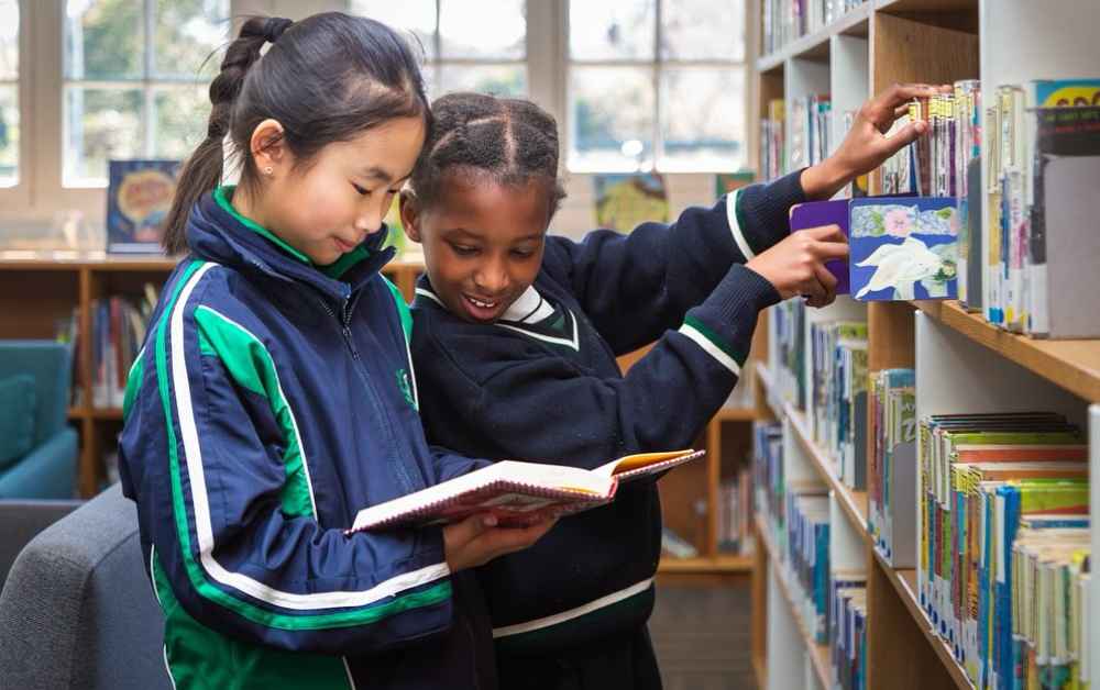 Boarding Schools In Johannesburg